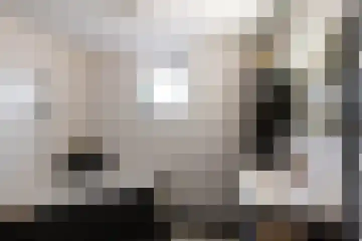 Liester 12 Roden thumbnail 30
