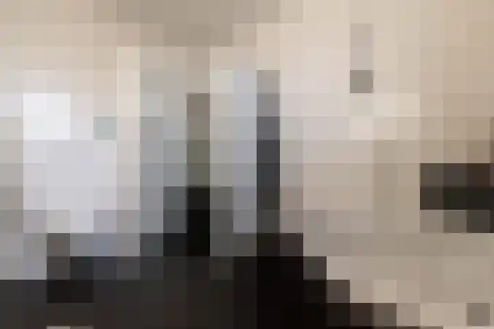 Liester 12 Roden thumbnail 31
