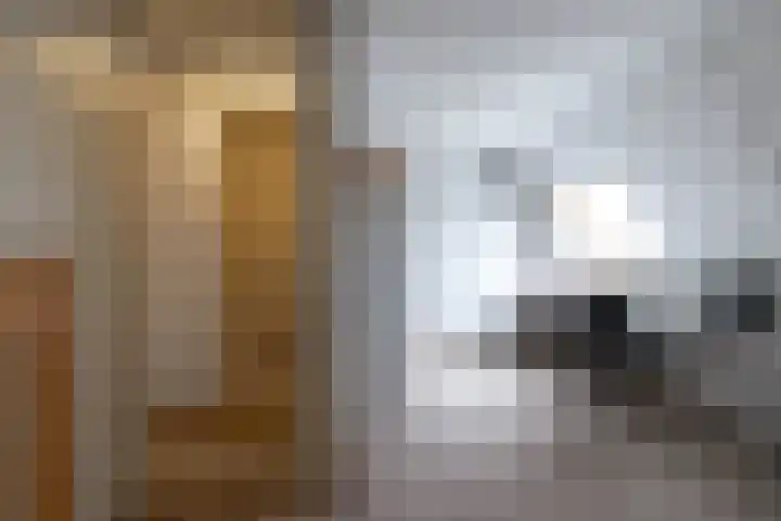 Liester 12 Roden thumbnail 33