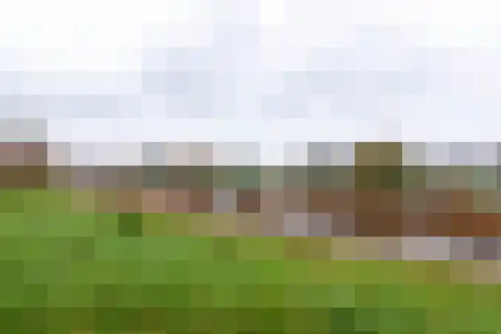 Liester 12 Roden thumbnail 39