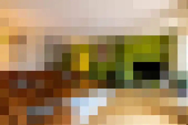 Liester 12 Roden thumbnail 4
