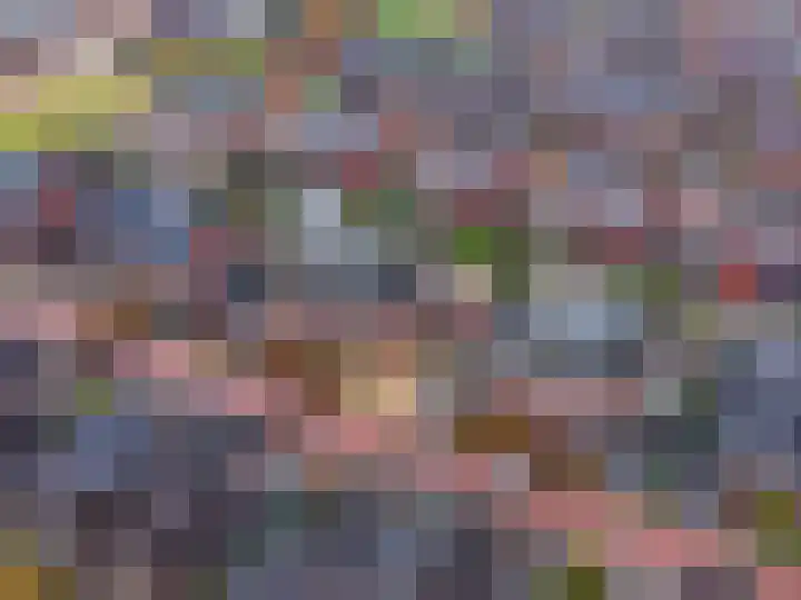 Liester 12 Roden thumbnail 43