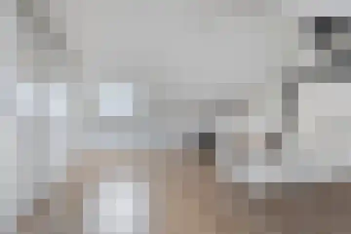 Liester 2 Roden thumbnail 26