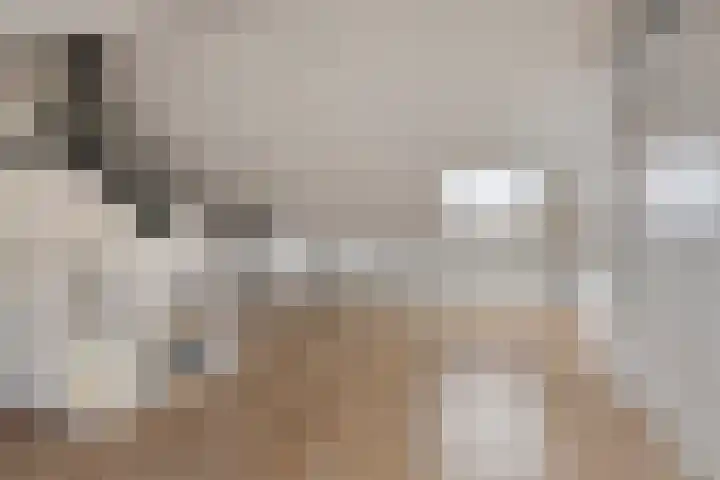 Liester 2 Roden thumbnail 27