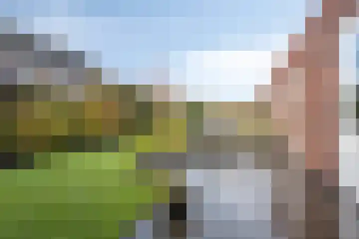 Liester 2 Roden thumbnail 30