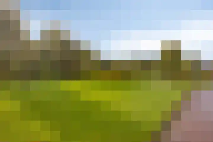Liester 2 Roden thumbnail 33