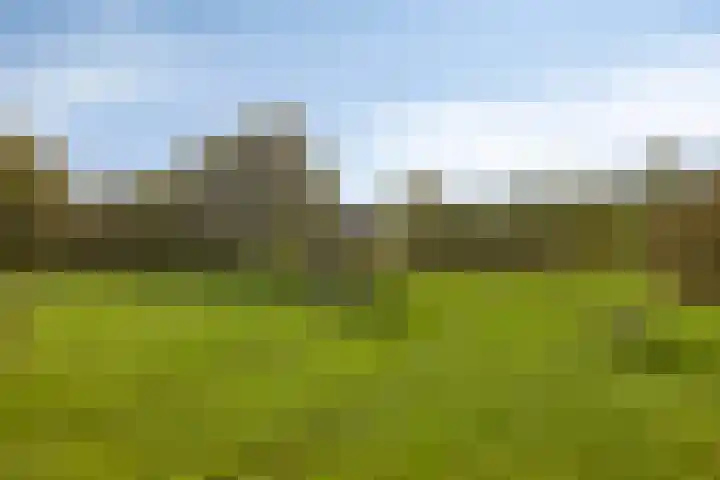 Liester 2 Roden thumbnail 34