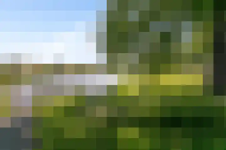 Liester 2 Roden thumbnail 36