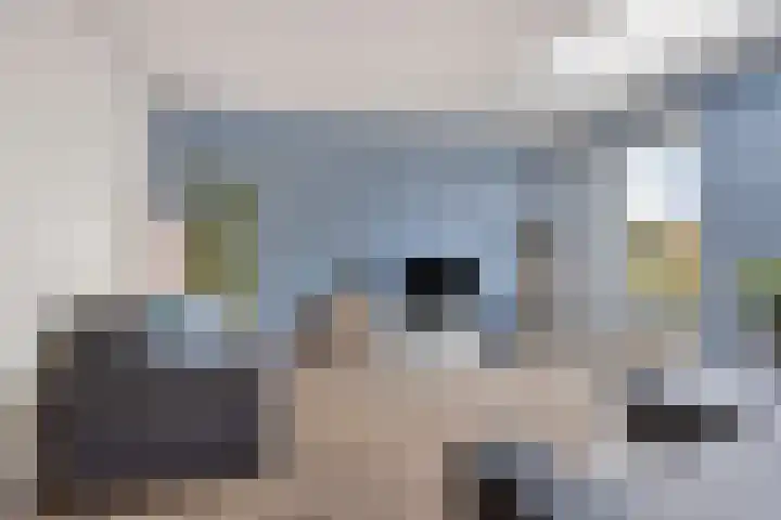 Liester 2 Roden thumbnail 7
