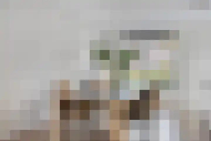 Liester 2 Roden thumbnail 9
