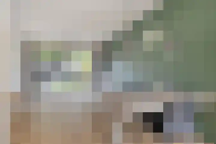 Liesterkrallen 30 Gieten thumbnail 11