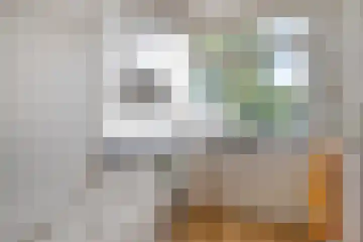 Liesterkrallen 30 Gieten thumbnail 12
