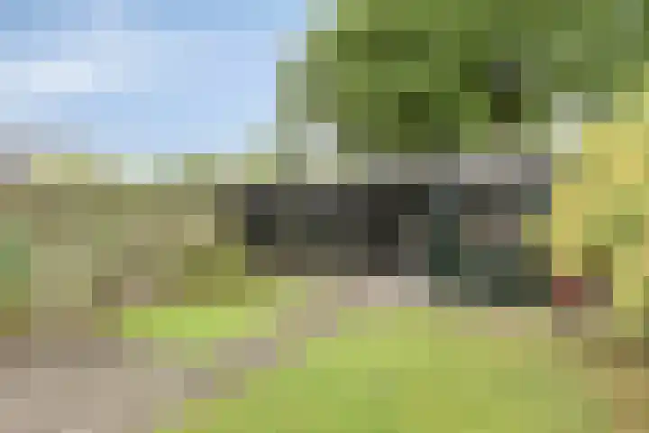 Liesterkrallen 30 Gieten thumbnail 30