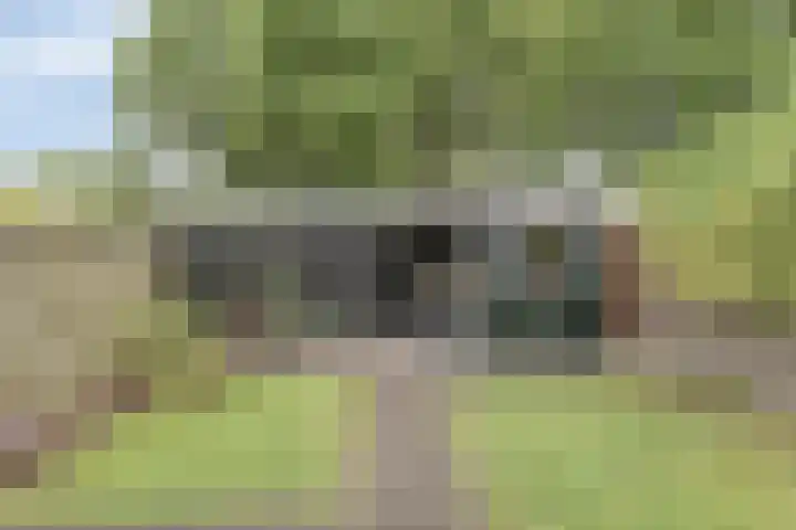 Liesterkrallen 30 Gieten thumbnail 31