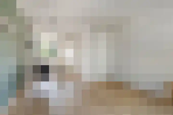 Liesterkrallen 30 Gieten thumbnail 9