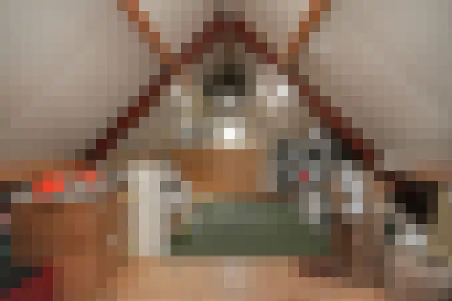 Liesterstraat 30 Wamel thumbnail 33
