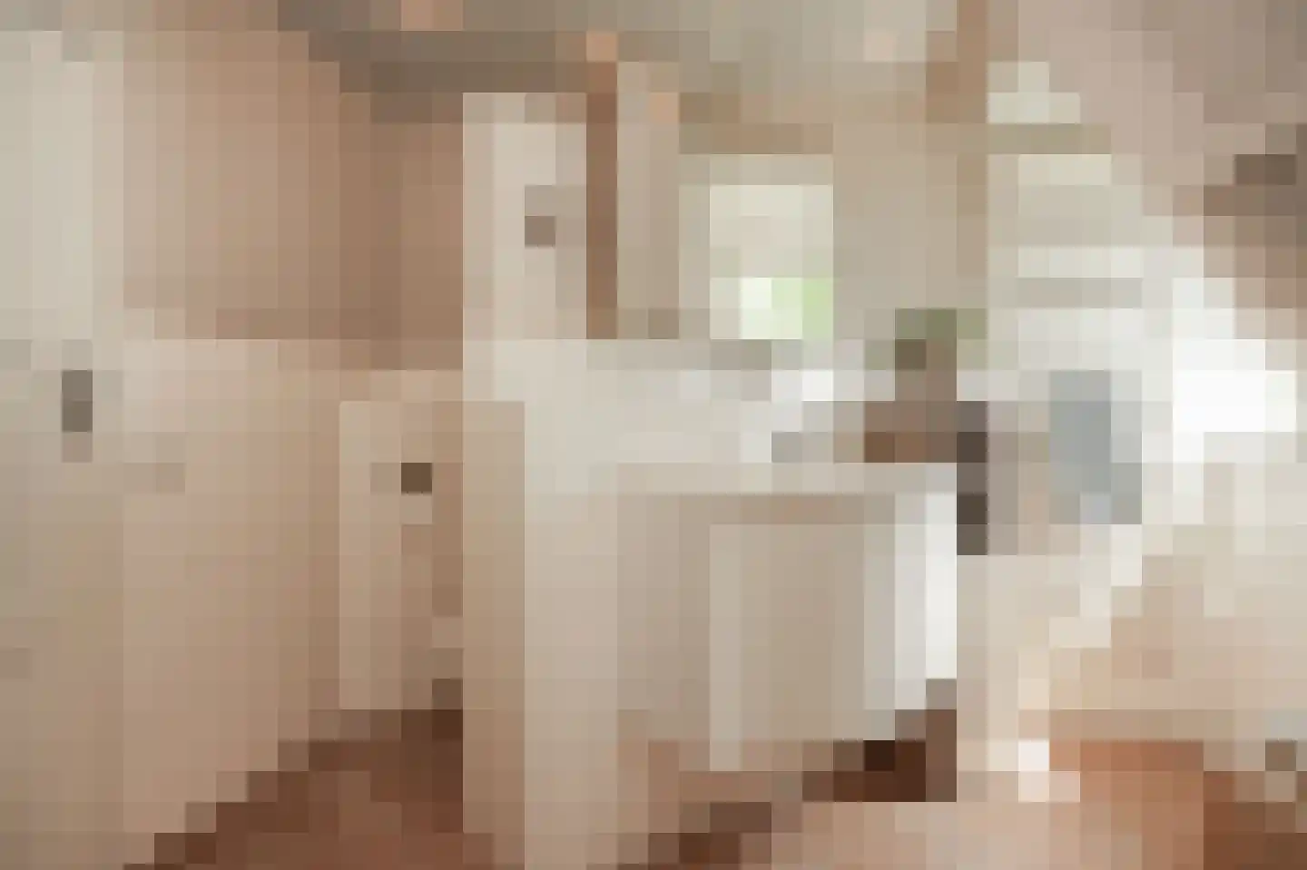 Liesterstraat 30 Wamel thumbnail 39