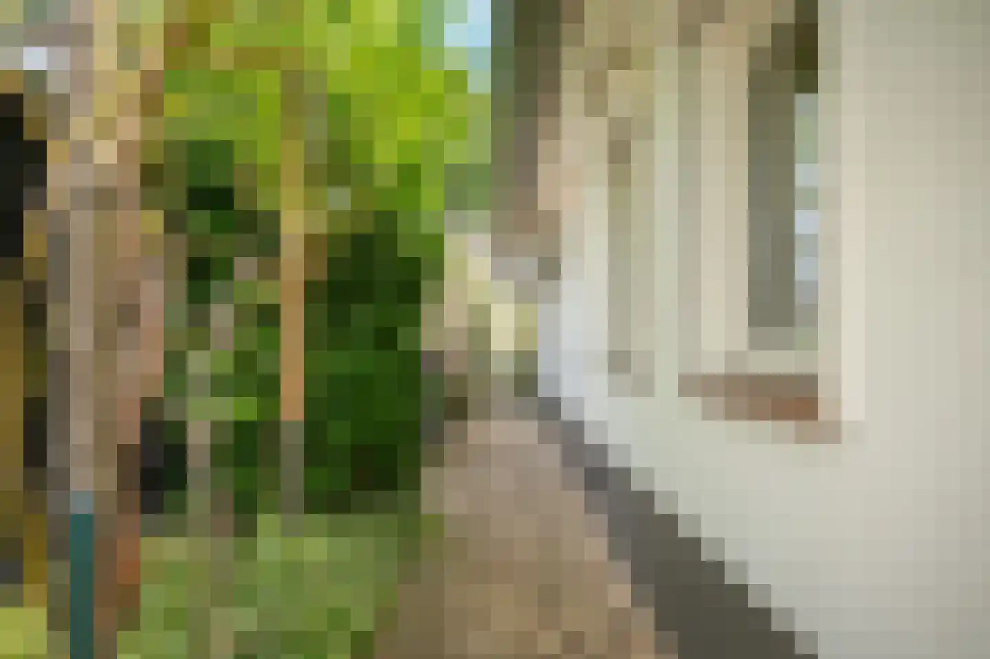 Liesterstraat 30 Wamel thumbnail 57