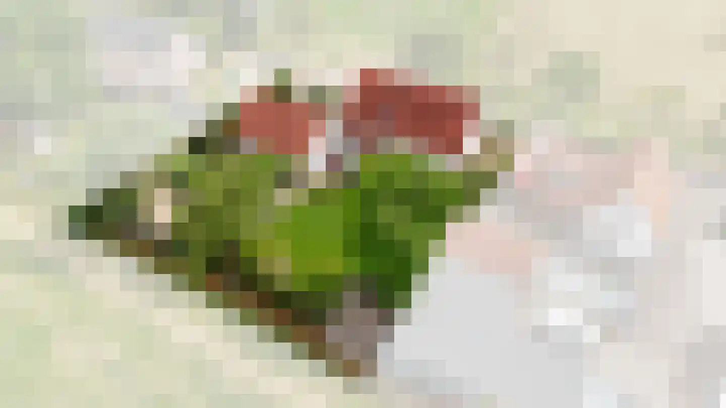 Liesterstraat 30 Wamel thumbnail 76