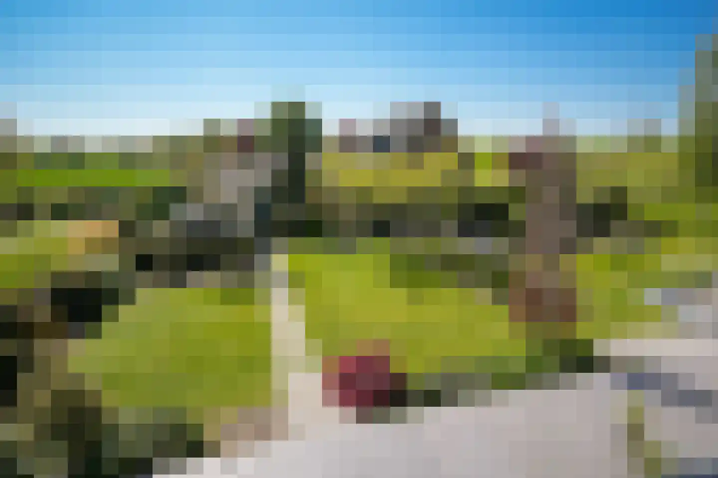 Liesveld 1 a Groot-Ammers thumbnail 33