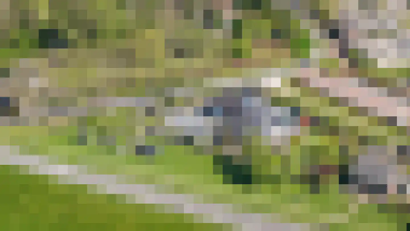 Liesveld 1 a Groot-Ammers thumbnail 38