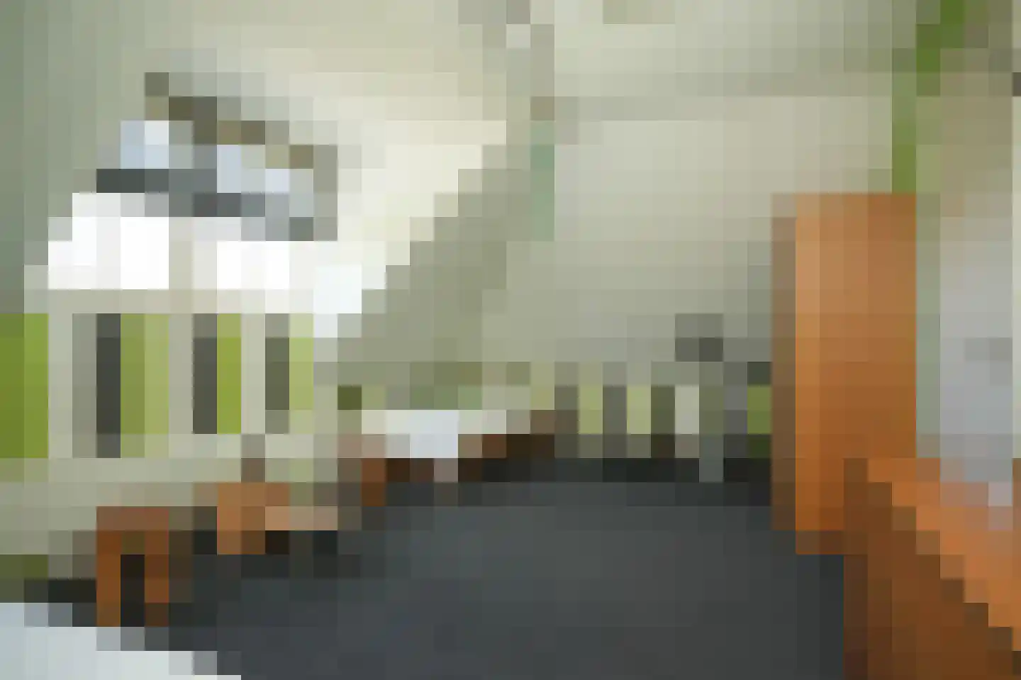 Liesveld 1 a Groot-Ammers thumbnail 38