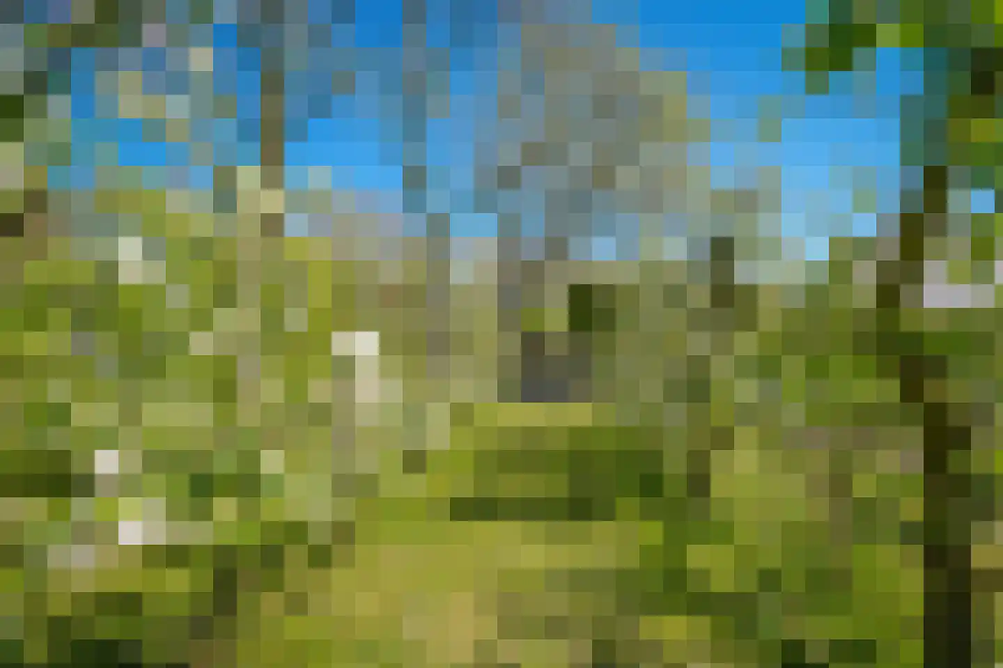 Liesveld 1 a Groot-Ammers thumbnail 63