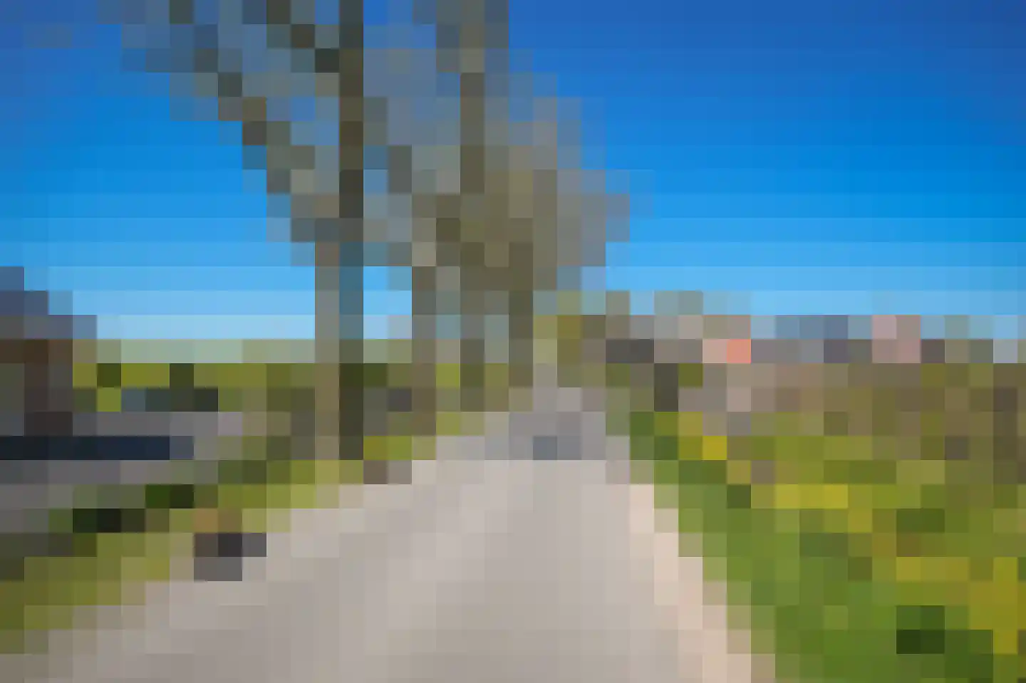 Liesveld 1 a Groot-Ammers thumbnail 71
