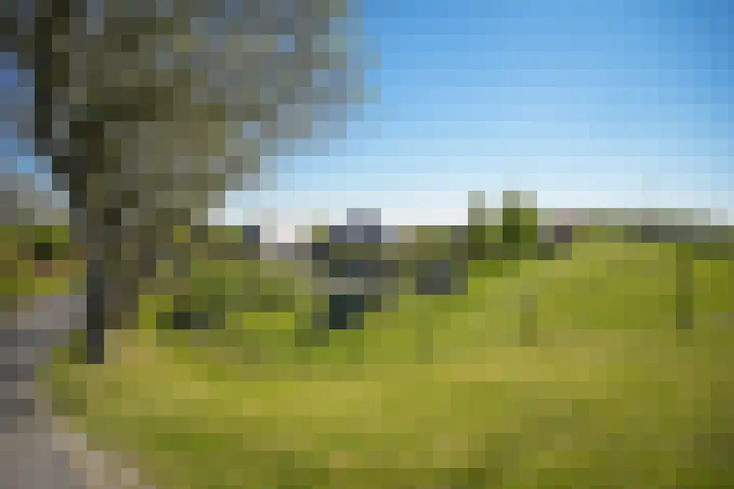 Liesveld 1 a Groot-Ammers thumbnail 72