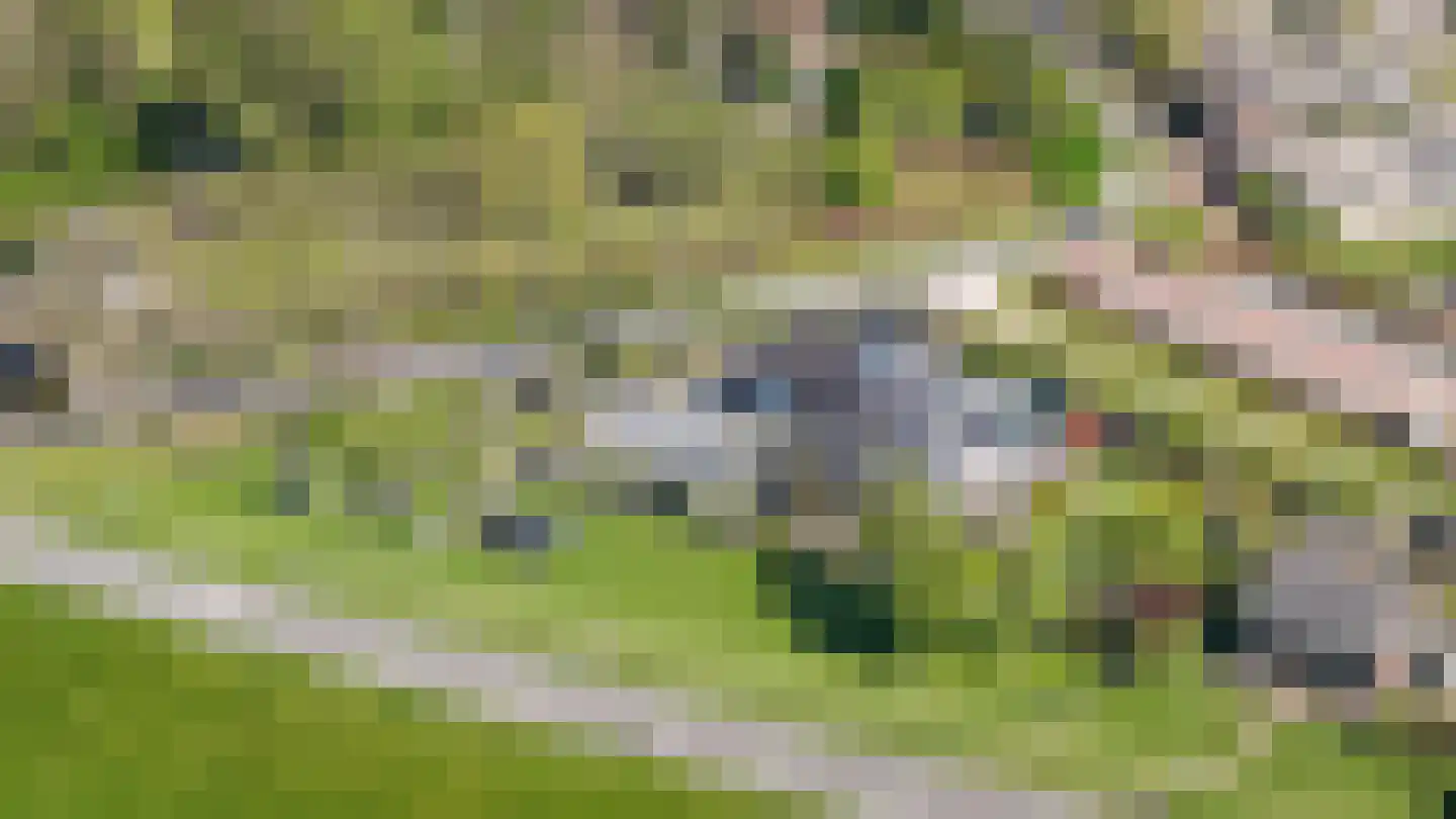 Liesveld 1 a Groot-Ammers thumbnail 73