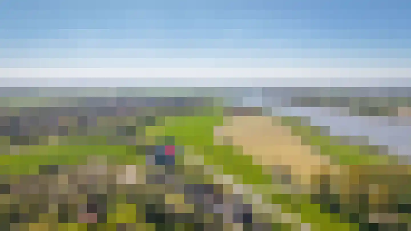Liesveld 1 a Groot-Ammers thumbnail 76