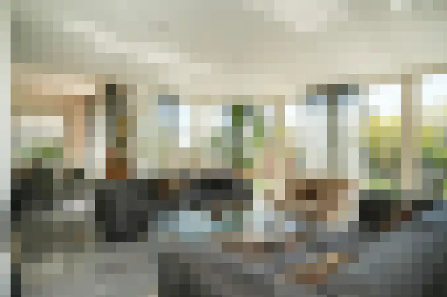 Liesveld 1 a Groot-Ammers thumbnail 8