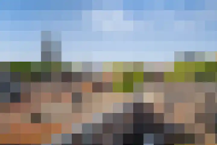 Liesveld 109 Vlaardingen thumbnail 29