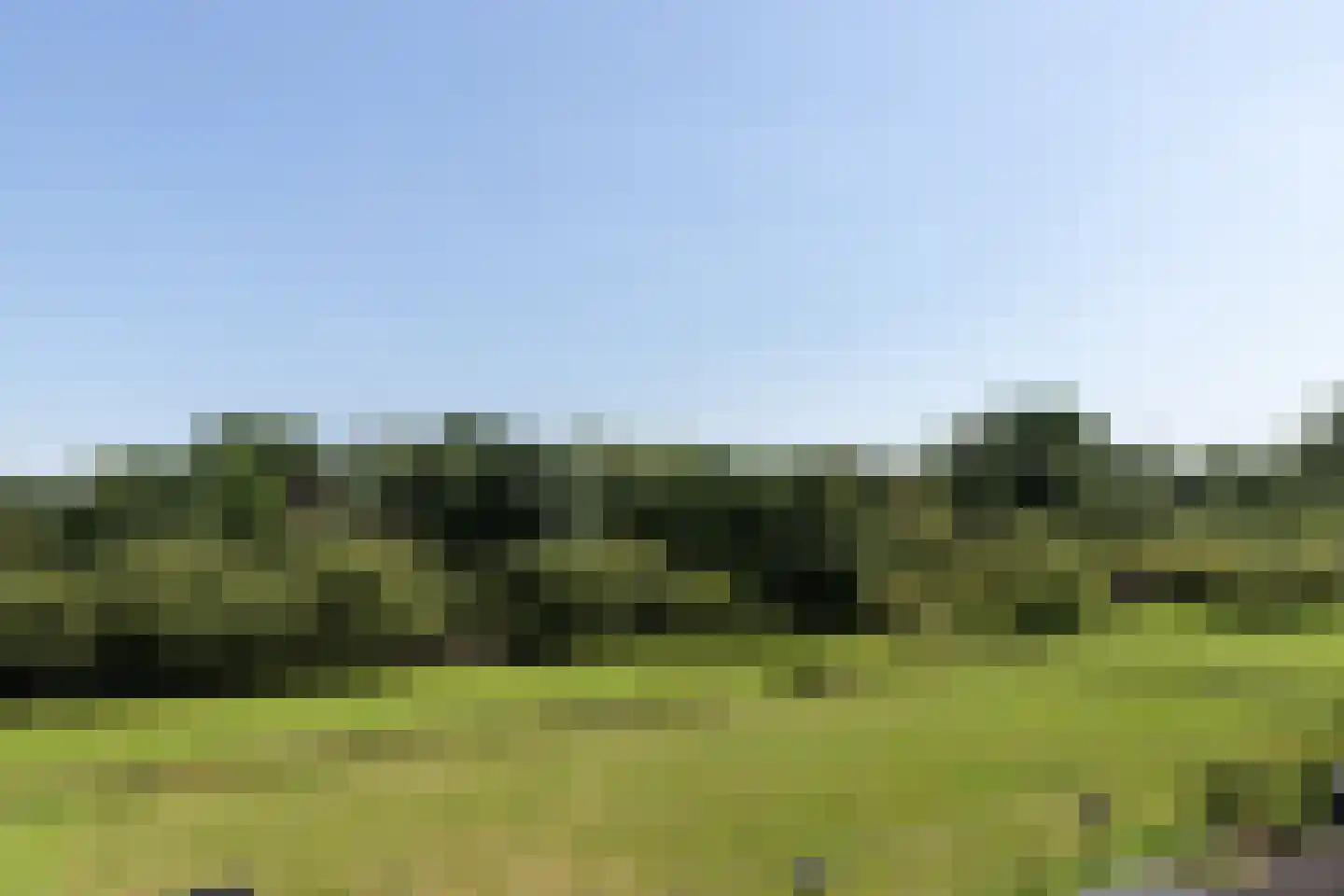 Liesveld 13 a Groot-Ammers thumbnail 35