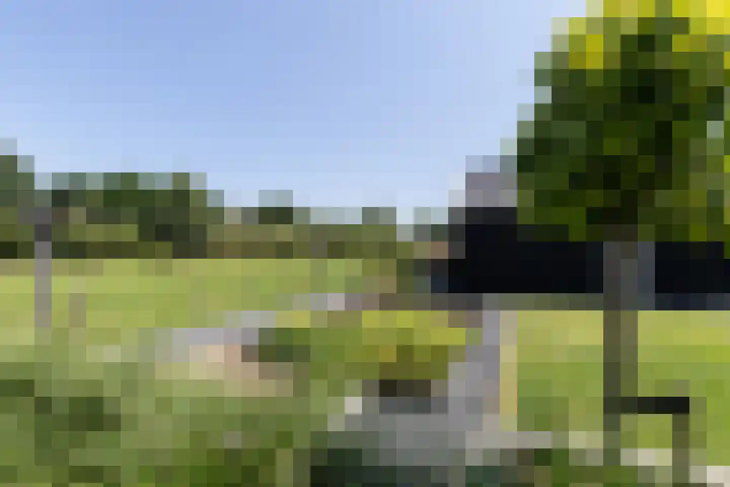 Liesveld 13 a Groot-Ammers thumbnail 4