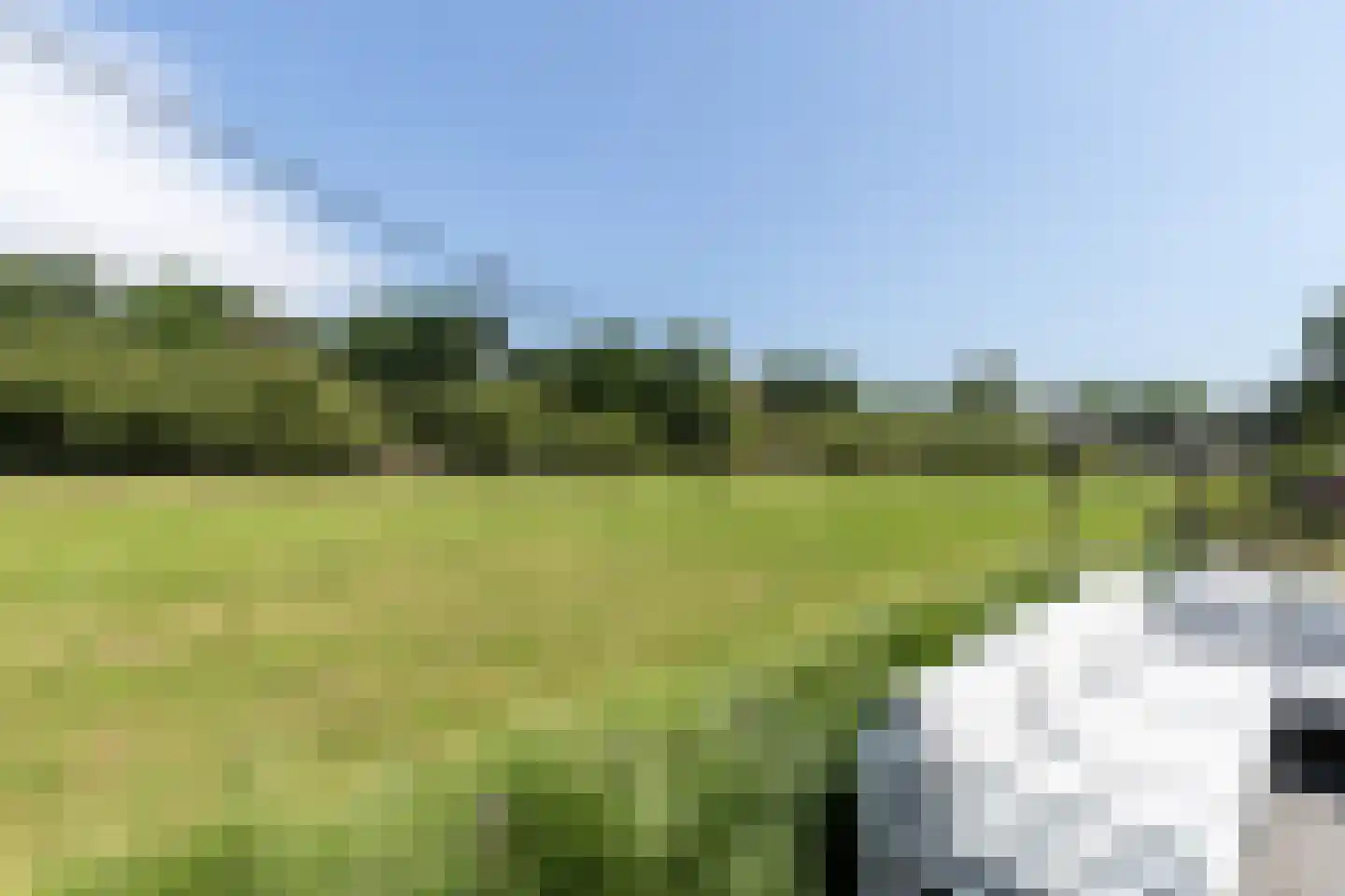 Liesveld 13 a Groot-Ammers thumbnail 45