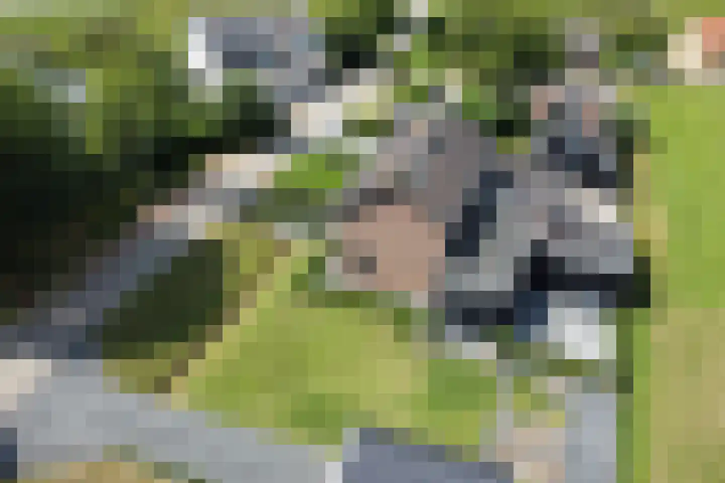 Liesveld 13 a Groot-Ammers thumbnail 46