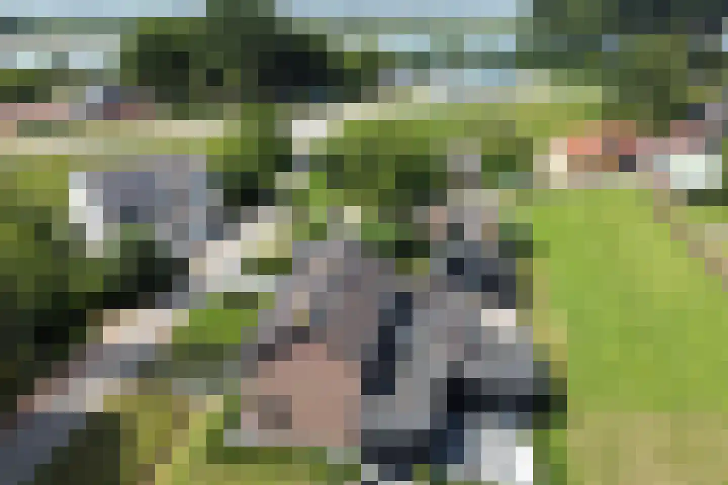 Liesveld 13 a Groot-Ammers thumbnail 47