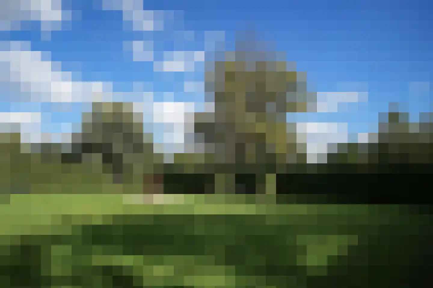Liesveld 3 Groot-Ammers thumbnail 55
