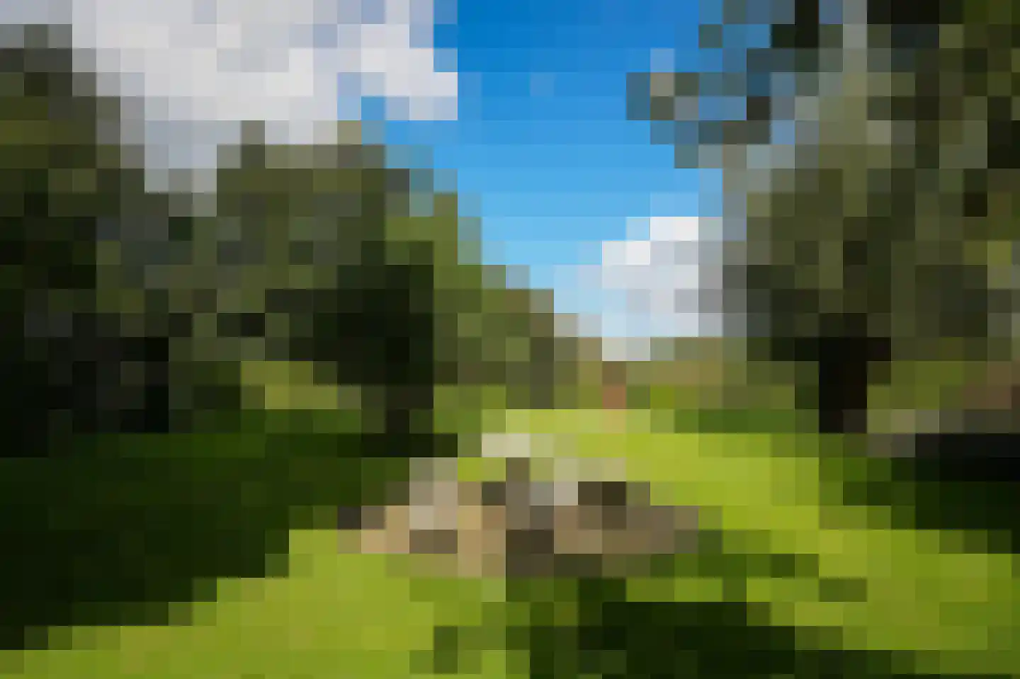 Liesveld 3 Groot-Ammers thumbnail 62