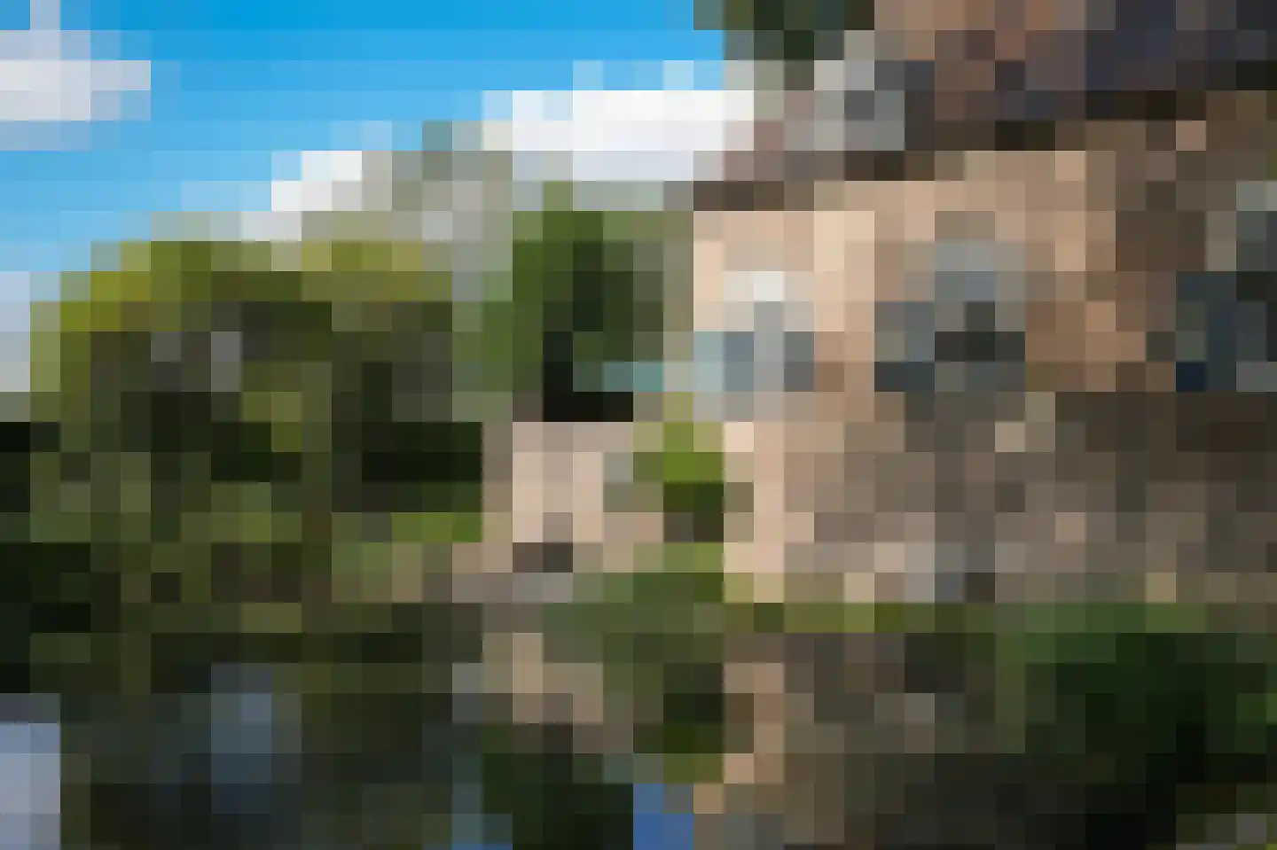 Liesveld 3 Groot-Ammers thumbnail 65