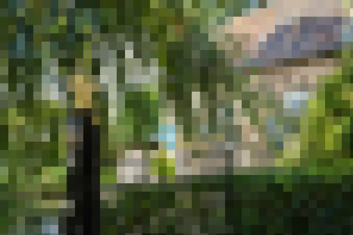 Liesveld 3 Groot-Ammers thumbnail 7