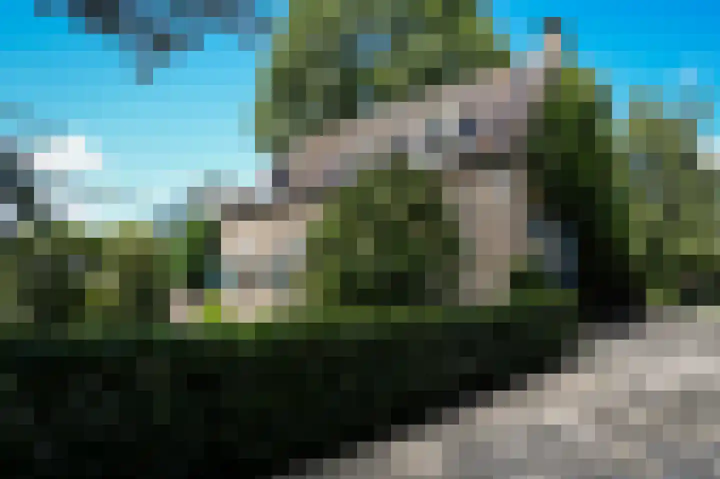 Liesveld 3 Groot-Ammers thumbnail 8