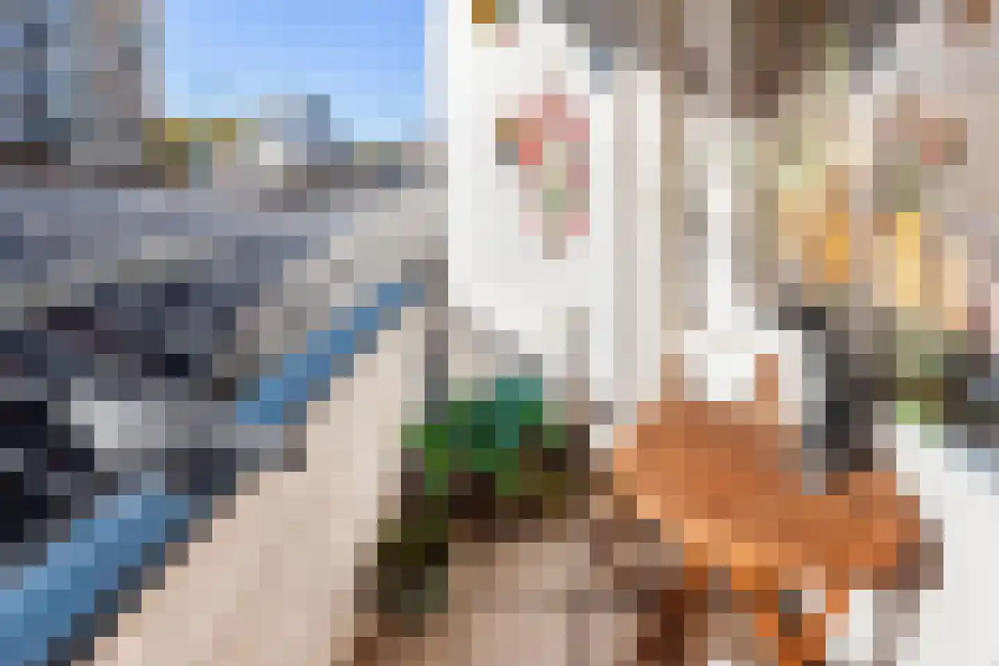 Liesveld 34 Vlaardingen thumbnail 31