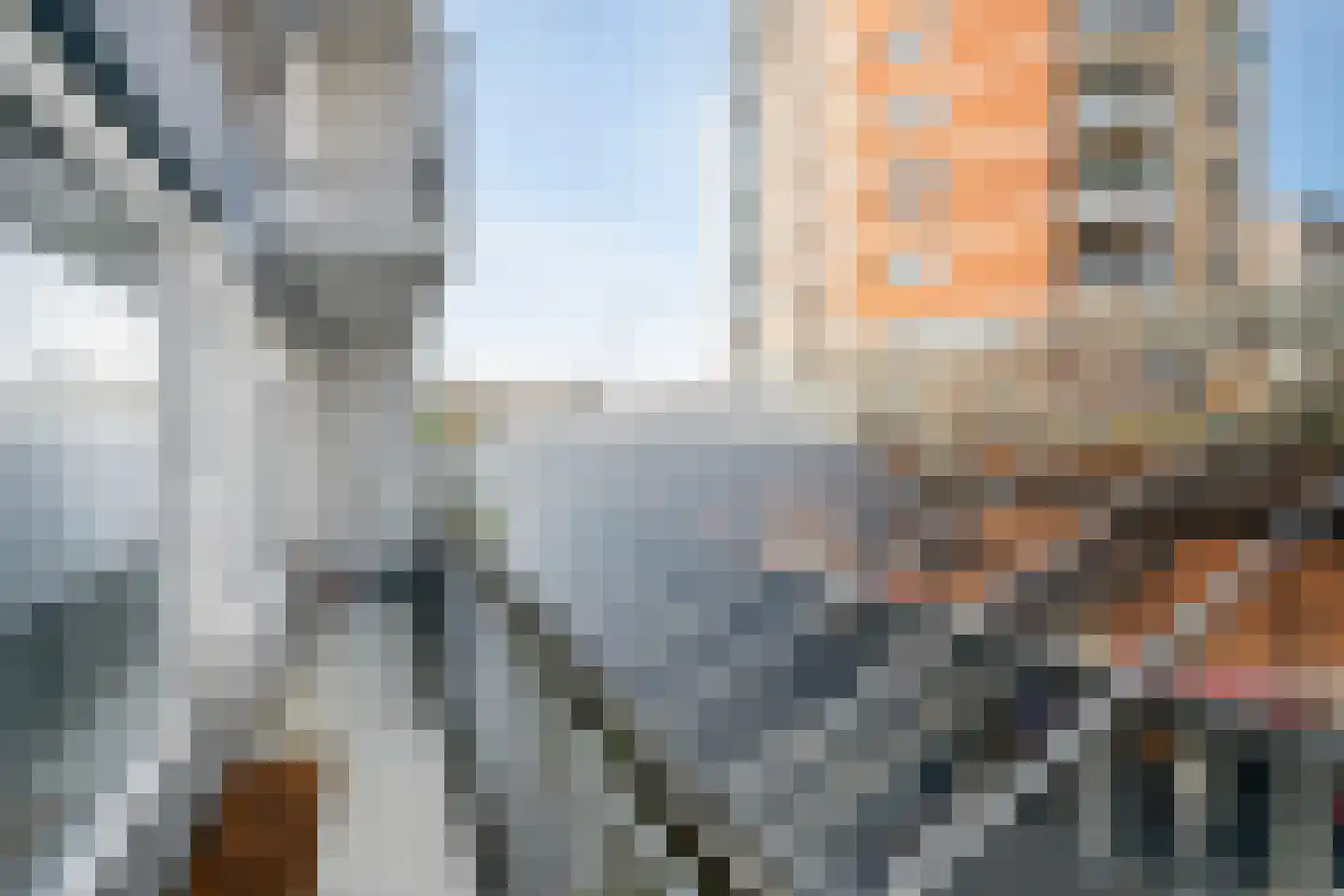 Liesveld 41 Vlaardingen thumbnail 24