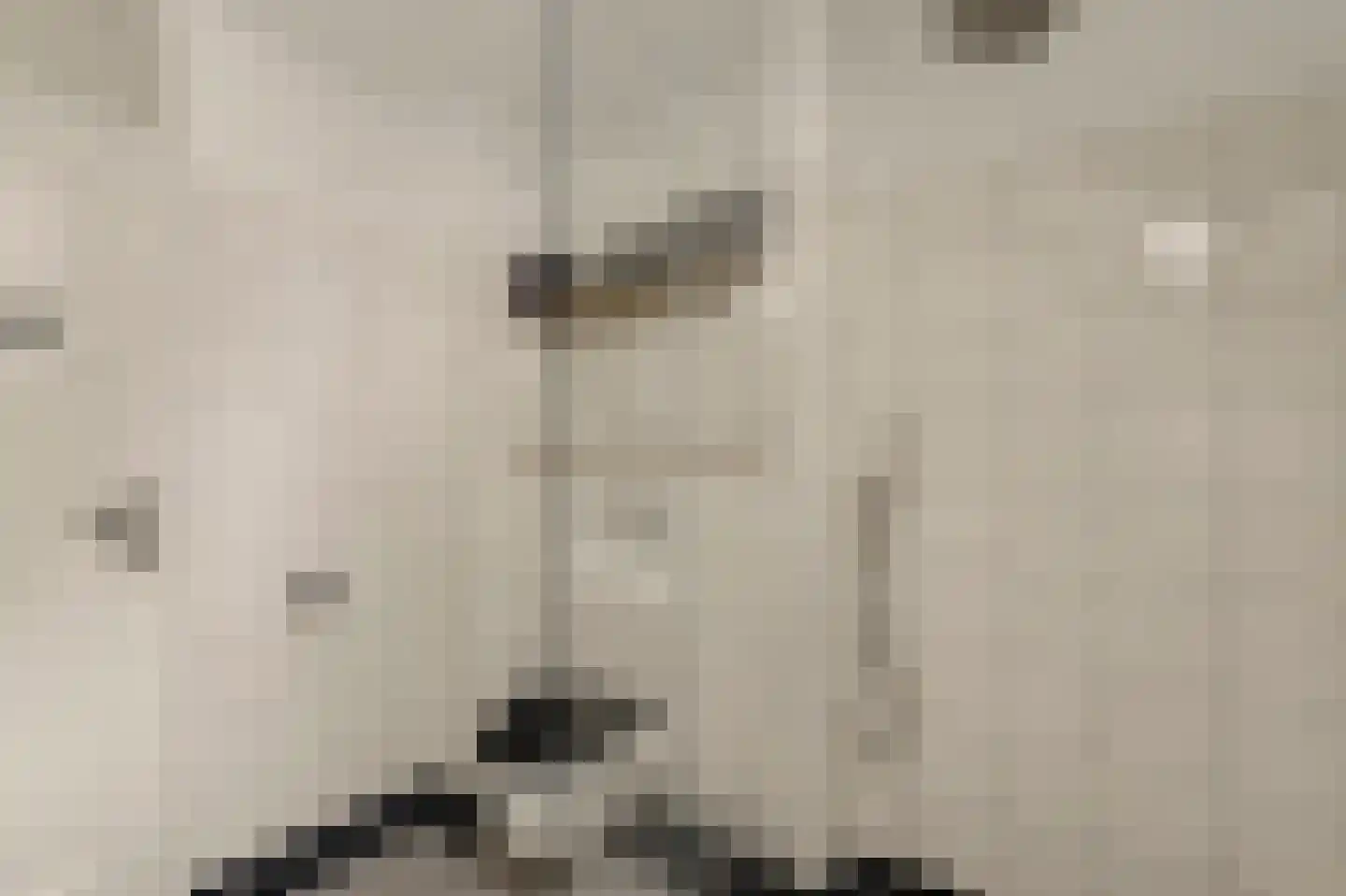 Liesveld 43 Terheijden thumbnail 24