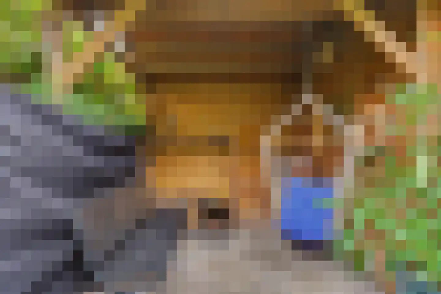 Liesveld 43 Terheijden thumbnail 31
