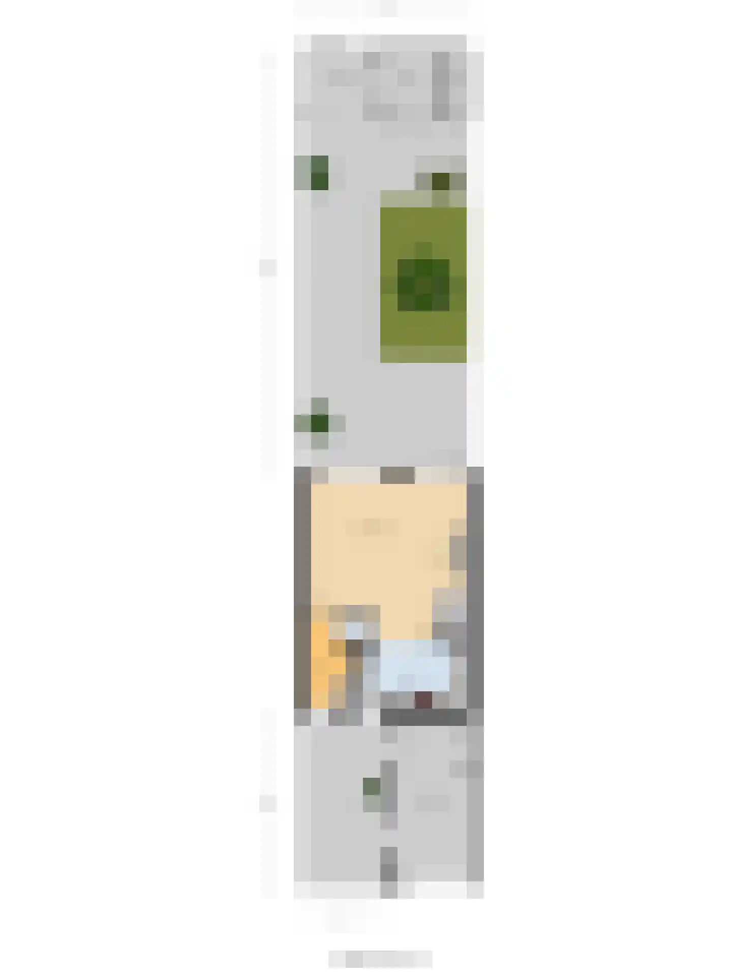 Liesveld 43 Terheijden thumbnail 43