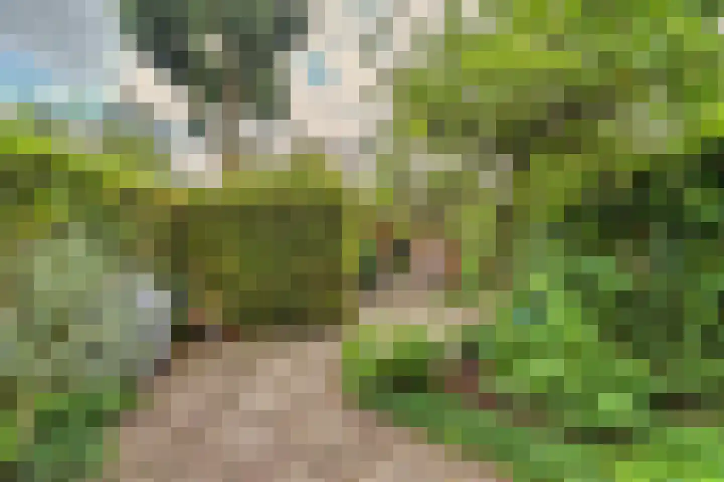 Liesveld 43 Terheijden thumbnail 6