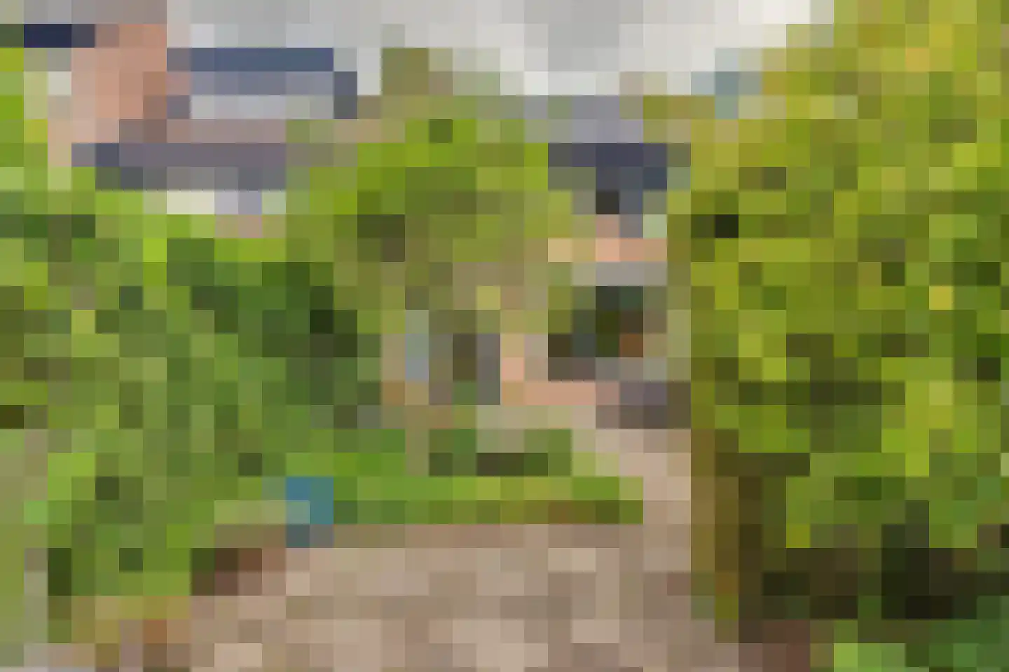 Liesveld 43 Terheijden thumbnail 7
